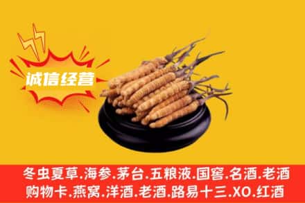 泸州江阳区回收冬虫夏草